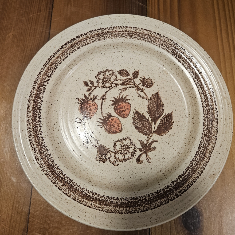 Vintage Floral Stoneware Dinner Plate